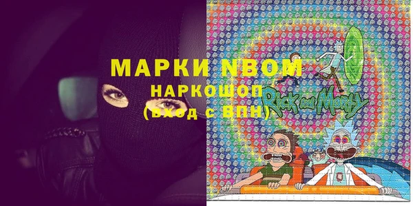 прущие грибы Магадан