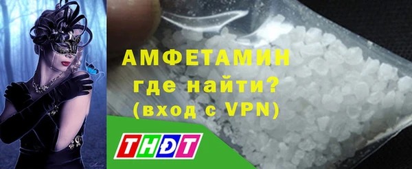 прущие грибы Магадан