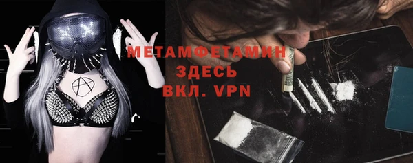 прущие грибы Магас