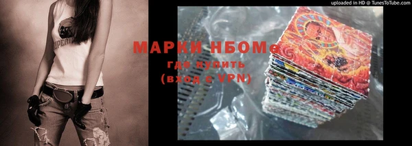 прущие грибы Магас