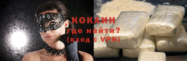 прущие грибы Магас