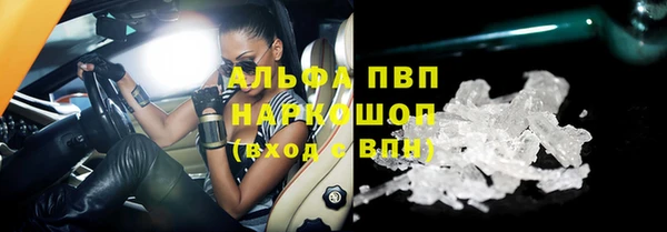 прущие грибы Магас