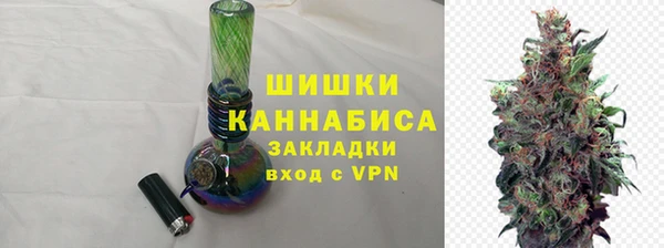 прущие грибы Магадан