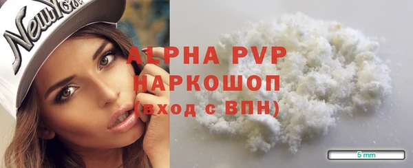 прущие грибы Магас
