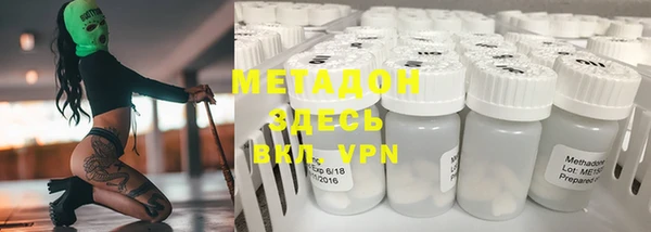 прущие грибы Магас