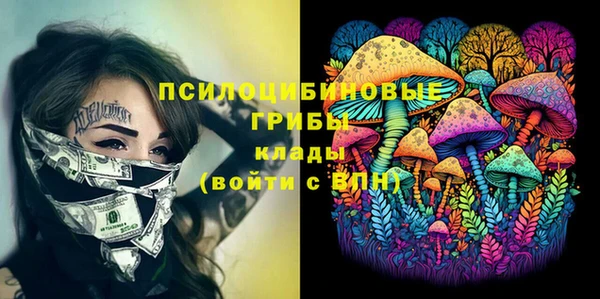 прущие грибы Магадан