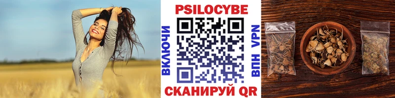 Псилоцибиновые грибы ЛСД  Купить  Ладушкин 