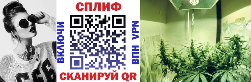 Купить  Ладушкин  Конопля ГИДРОПОН 
